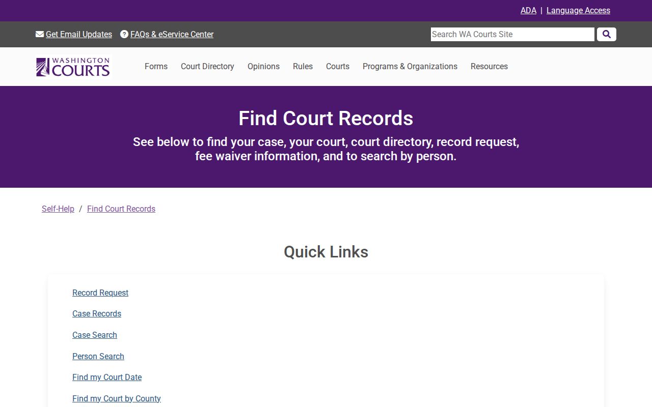 Ferry County court case search instructions
